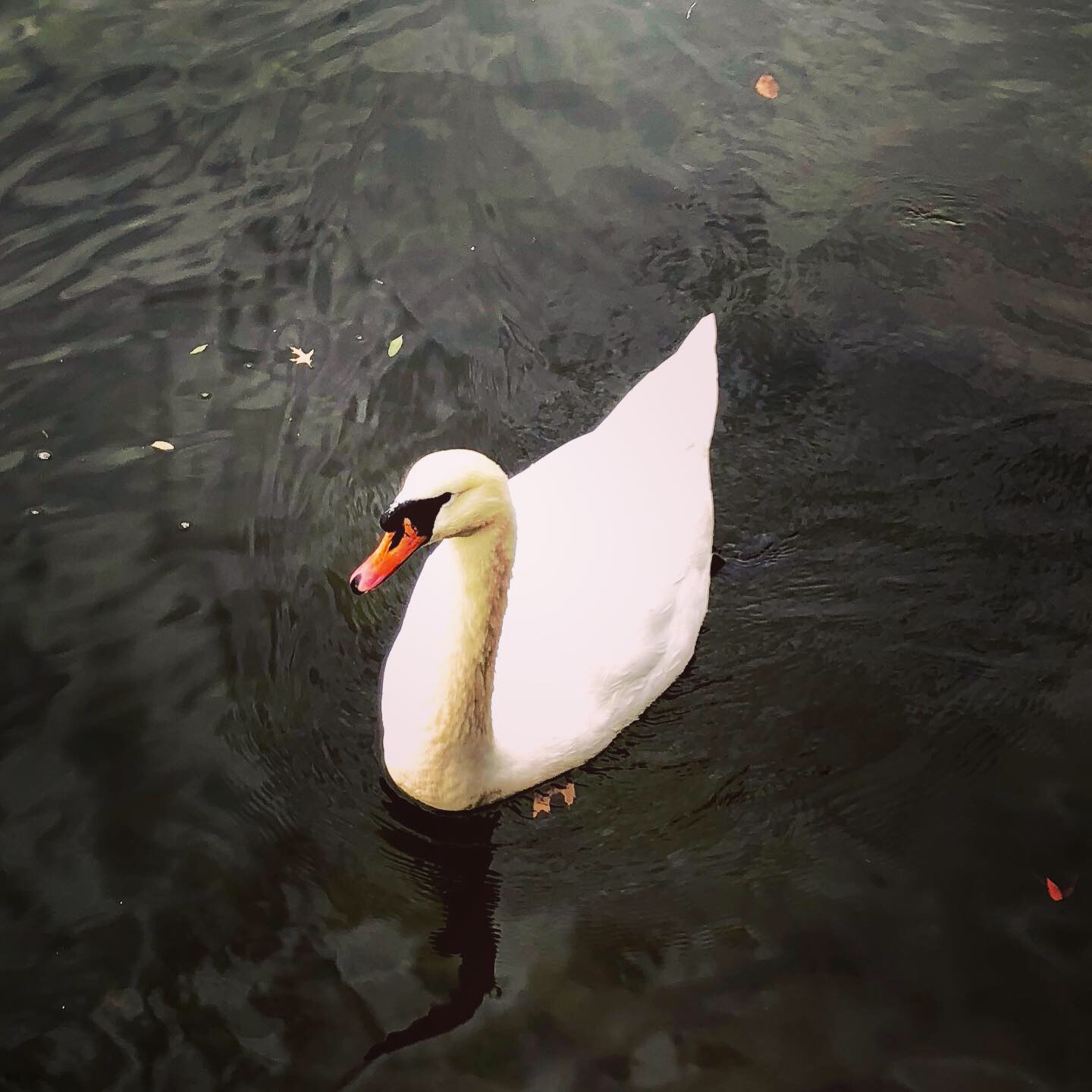 36265ECA-F9CE-46C6-963B-1851B7F9080E