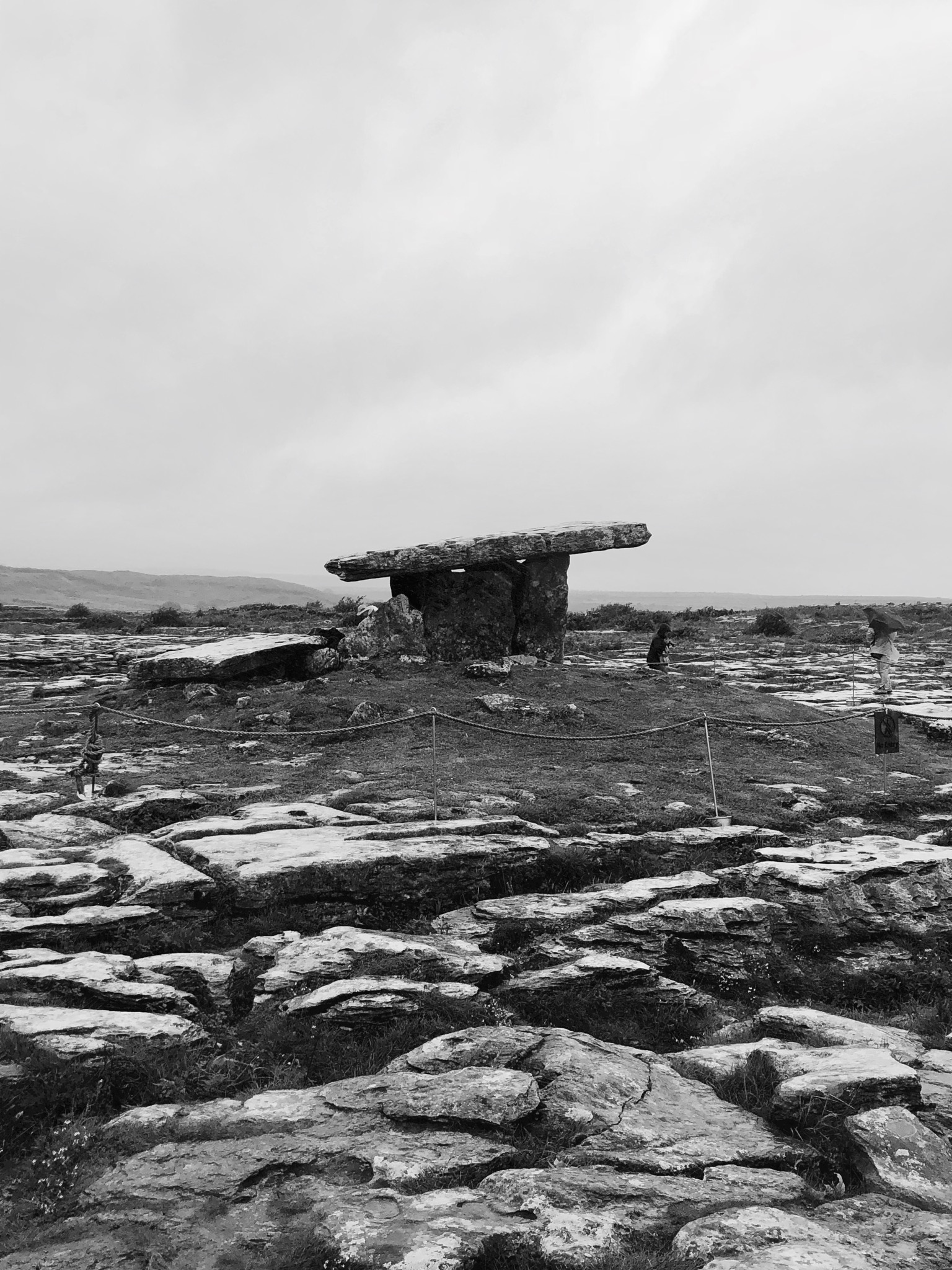 6AAAC2EA-C4AA-4FB4-85D0-D3F2D9DFCBE6