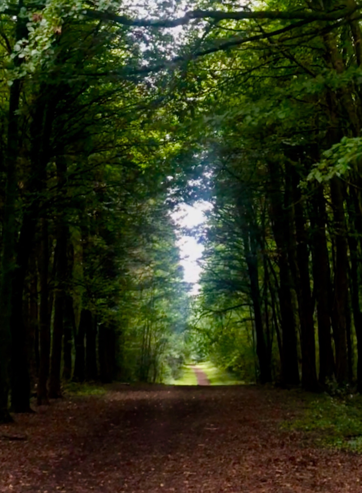 45B58071-54F3-4D1D-923F-78B81B7CA954